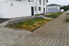 IMG-20200716-WA0010